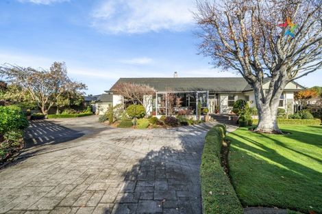Photo of property in 141 Layard Street, Windsor, Invercargill, 9810