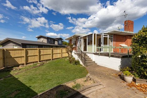 Photo of property in 19 Donny Avenue, Chartwell, Hamilton, 3210