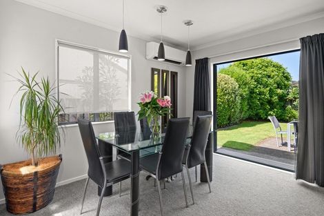 Photo of property in 45 Solomon Street, Brookfield, Tauranga, 3110