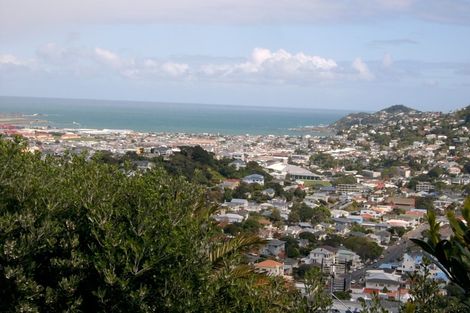 Photo of property in 134 Rakau Road, Hataitai, Wellington, 6021