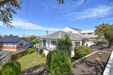 Photo of property in 123 Forbury Road, Saint Clair, Dunedin, 9012