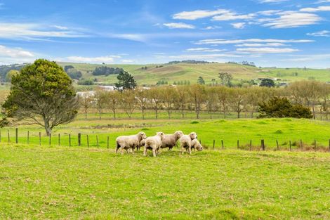 Photo of property in 6b Tangowahine Valley Road, Tangowahine, Dargaville, 0372