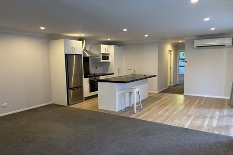 Photo of property in 17 Rugby Street, Mount Cook, Wellington, 6021