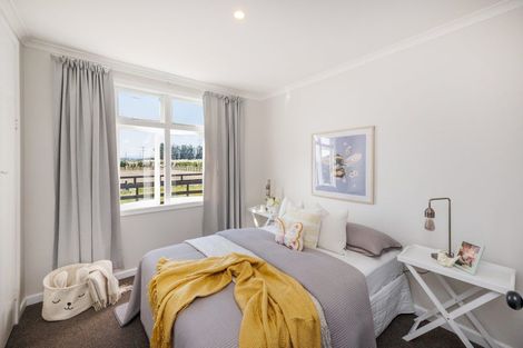 Photo of property in 292 Kairanga Bunnythorpe Road, Bunnythorpe, Palmerston North, 4478