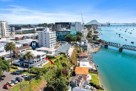Photo of property in 7b First Avenue, Tauranga, 3110