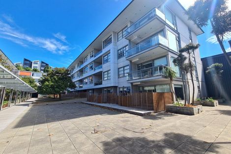 Photo of property in Revolucion Apartments, 101n/28 Torrens Terrace, Mount Cook, Wellington, 6011