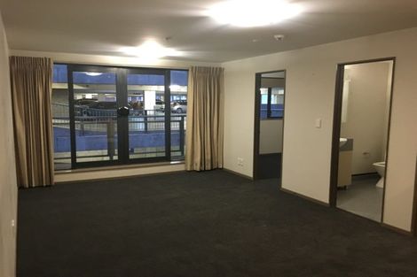Photo of property in Dual Apartments, 103/142u Vivian Street, Te Aro, Wellington, 6011