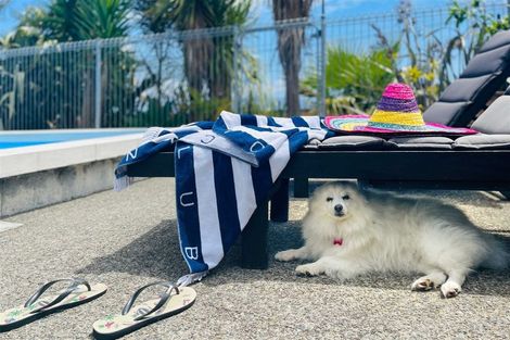 Photo of property in 11 Kotare Street, Waikanae, 5036