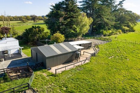 Photo of property in 292 Kairanga Bunnythorpe Road, Bunnythorpe, Palmerston North, 4478
