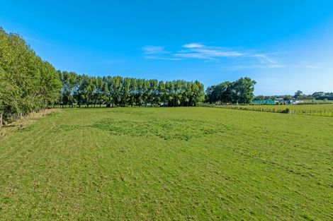 Photo of property in 59 Mahua Road, Feilding, 4777