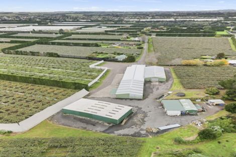 Photo of property in 288a No 3 Road, Te Puke, 3183