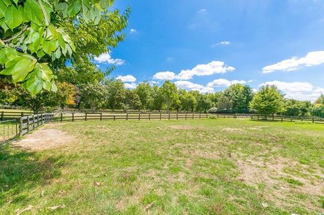 Photo of property in 141 Racecourse Road, Cambridge, 3493