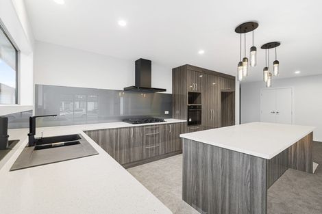 Photo of property in 16 Silver Beech Street, Takanini, 2110