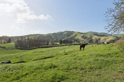 Photo of property in 41 Matahuru Road, Waiterimu, Ohinewai, 3784
