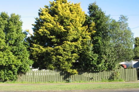 Photo of property in 29 Laurie Avenue, Papakura, 2110