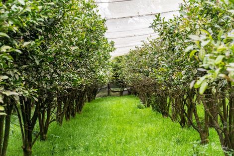 Photo of property in 70 Rototuna Road, Pouto, Te Kopuru, 0391