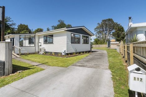 Photo of property in 117 Brecon Road, Stratford, 4332