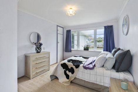 Photo of property in 36 Winchester Street, Levin, 5510