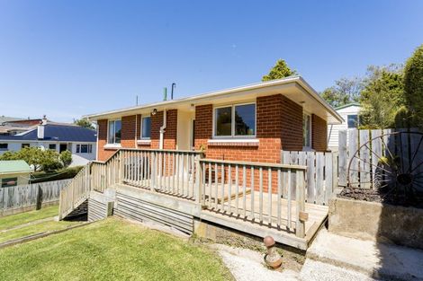 Photo of property in 25 Duckworth Street, Andersons Bay, Dunedin, 9013