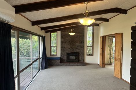 Photo of property in 36 Alison Street, Hamilton Lake, Hamilton, 3204