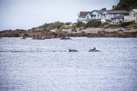 Photo of property in 6 Owhiro Bay Parade, Island Bay, Wellington, 6023