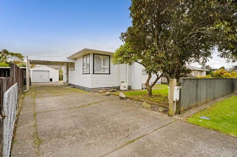 Photo of property in 12 Nikau Street, Inglewood, 4330