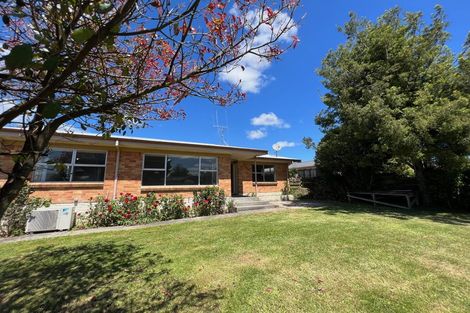 Photo of property in 20 Fernleigh Street, Chartwell, Hamilton, 3210