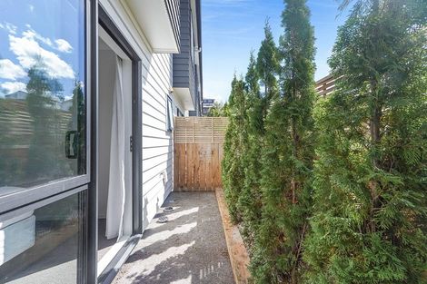 Photo of property in 18u2 Hunter Street, Hamilton Lake, Hamilton, 3204