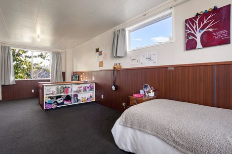 Photo of property in 134 Rimu Street, Maeroa, Hamilton, 3200