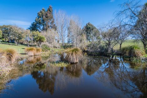 Photo of property in 214 Rosebrook Road, Claremont, Timaru, 7974