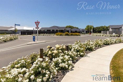Photo of property in 6 Bond Street, Springlands, Blenheim, 7201