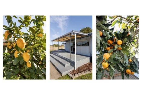 Photo of property in 62 Arawa Road, Whakatane, 3120