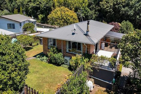 Photo of property in 39 Awanui Street, Merrilands, New Plymouth, 4312