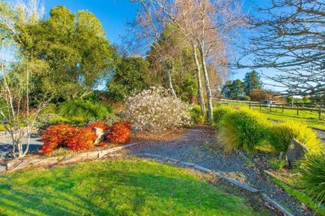 Photo of property in 154 Ngaroto Road, Te Awamutu, Ohaupo, 3883