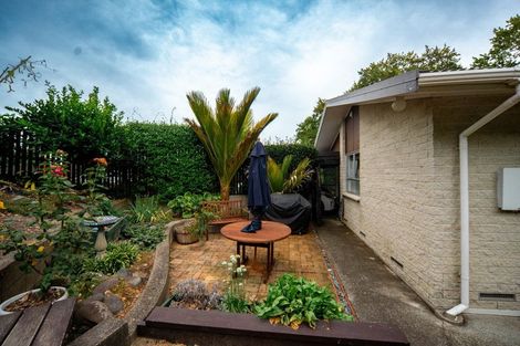 Photo of property in 86b Pembroke Street, Hamilton Lake, Hamilton, 3204