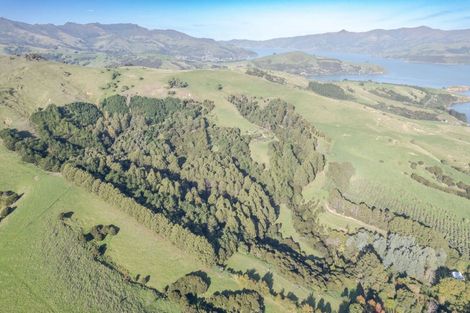 Photo of property in 88 Sawmill Road, Robinsons Bay, Akaroa, 7581