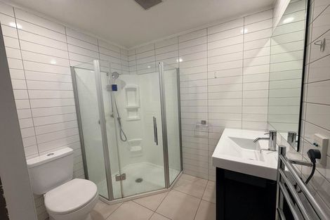 Photo of property in Fernhill Flats, 3/324 The Terrace, Te Aro, Wellington, 6011