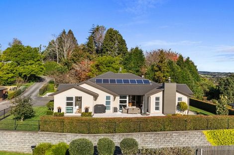 Photo of property in 57 Mervyn Place, Ohauiti, Tauranga, 3112