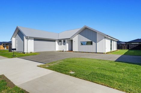 Photo of property in 43 Thirlwall Street, Woodend, 7610