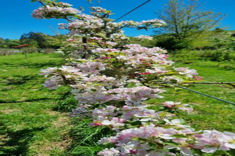 Photo of property in 299 Whangamata Road, Kinloch, Taupo, 3377