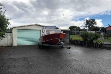 Photo of property in 19 Given Street, Havelock North, 4130