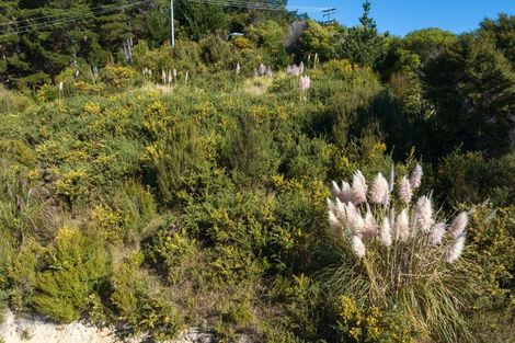 Photo of property in 318 Port Underwood Road, Whatamango Bay, Picton, 7281
