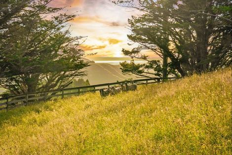 Photo of property in 140 Dill Road, Kaipara Flats, Warkworth, 0984