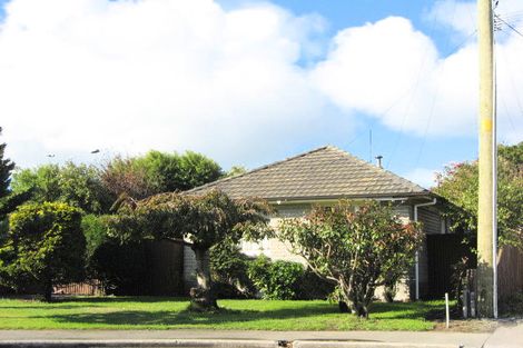 Photo of property in 20 Goldsmith Place, Waltham, Christchurch, 8023