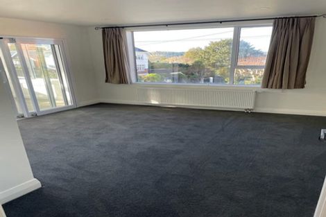 Photo of property in 19 Falkland Street, Maori Hill, Dunedin, 9010