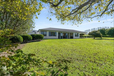 Photo of property in 24 Julian Road, Onemana, Whangamata, 3691
