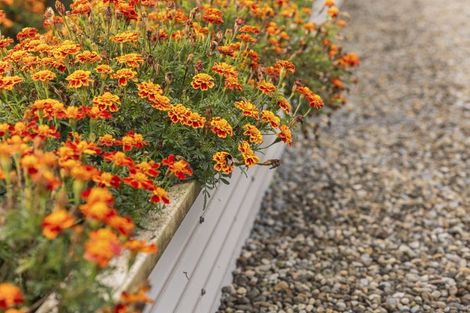 Photo of property in 37 Upper Pitone Road, Pitone, New Plymouth, 4374