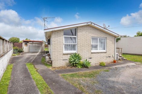 Photo of property in 264 Clyde Street, Hamilton East, Hamilton, 3216