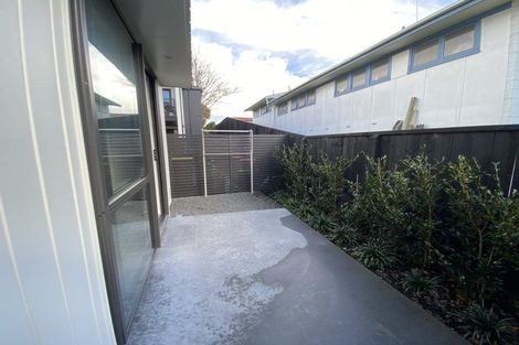 Photo of property in 14u2 Abbotsford Street, Whitiora, Hamilton, 3200
