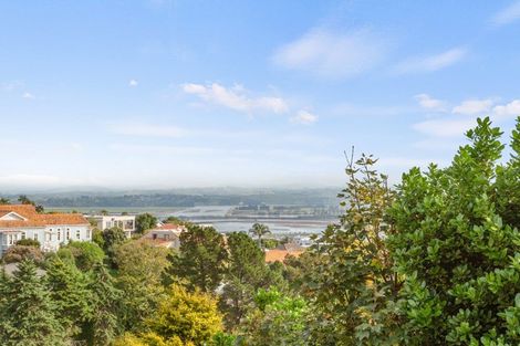 Photo of property in 2 Coleman Terrace, Hospital Hill, Napier, 4110